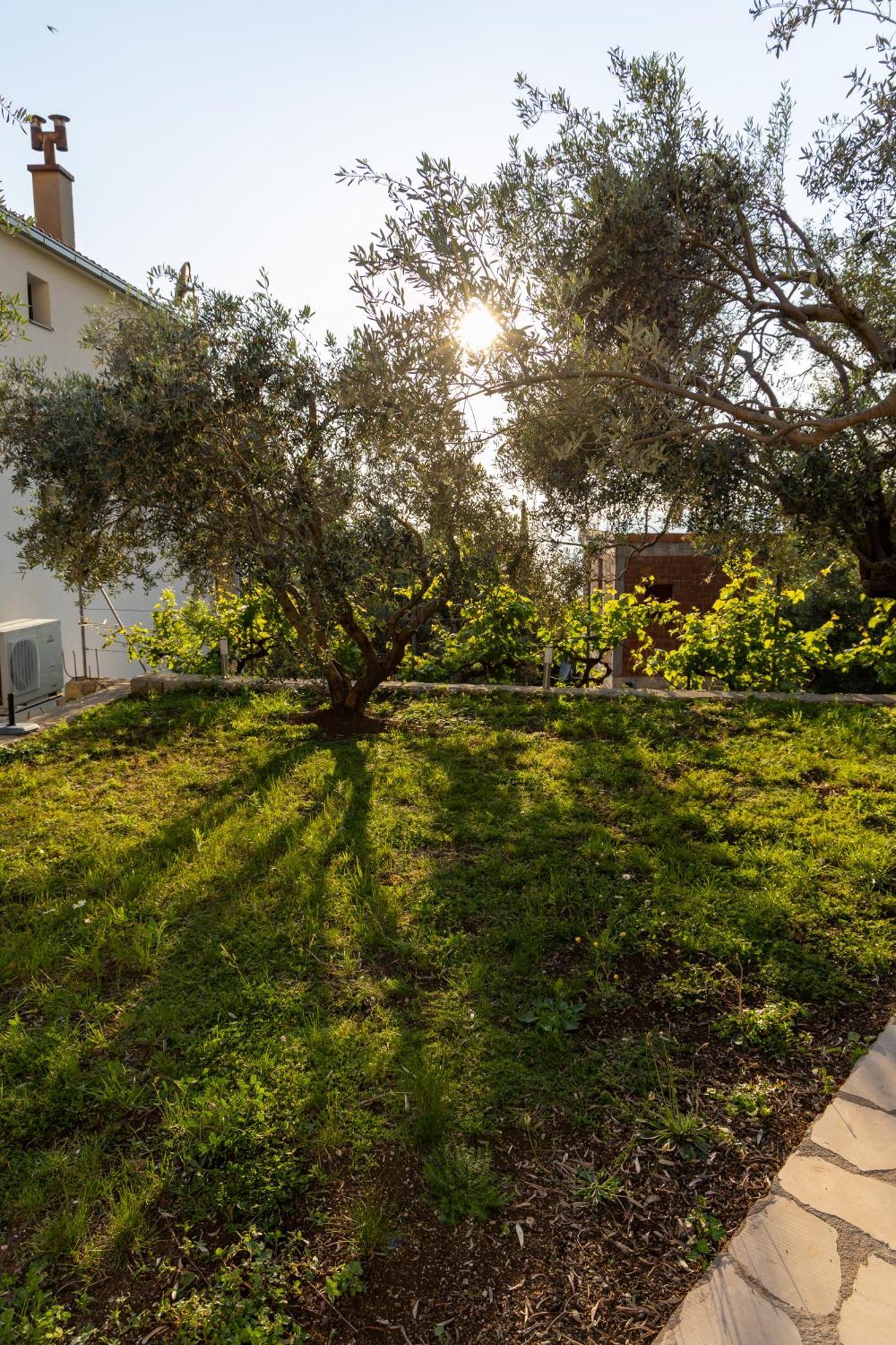 Residence Vukovic, ريزيفيتشي المظهر الخارجي الصورة